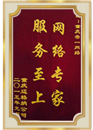 網(wǎng)絡(luò)專家錦旗